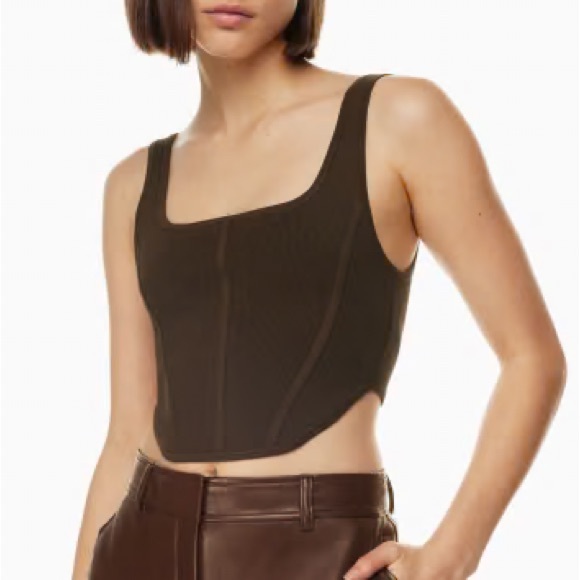 Aritzia Tops - NWT Aritzia Babaton Sculpt Knit Bustier Rich Mocha Brown